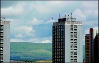 The Gi Festival 2008 – A cultural safari