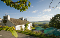 Celebrate the blossom and enjoy a damson good day out