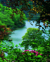 Wordsworth picnics send romantics hearts racing