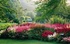 Explore the gardens of North Devon