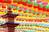 Celebrating the birth of Buddha