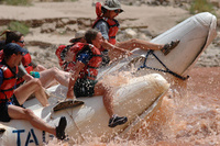 Unbridled Colorado river rafting