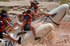 Unbridled Colorado river rafting