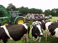 Hampshire Food Festival extends its run