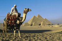 Sharm El Sheikh hosts South Sinai Camel Festival spectacular
