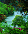 Wordsworth picnics send hearts racing