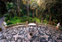A sea of gardens in Italy 