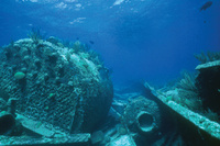 Awaken your sense of adventure on the real treasure island