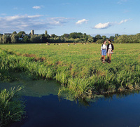 Circular walks in South Somerset