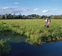 Circular walks in South Somerset 