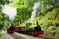Full steam ahead for the perfect day out