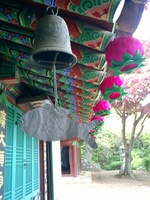 Sample the real Buddhist culture with a trip to Korea