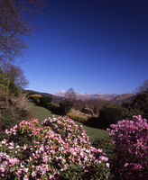 Head to the Western Lake District for family fun