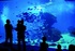 Mallorca's big blue 