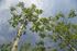 Fruitful months for survival skills in the National Forest
