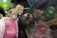 Tiny twins enter the world at Lakes Aquarium