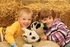 February frolics at Willows Farm Village