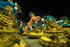 Full steam ahead for the Brazilian Carnival 