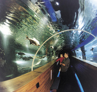 Lakes Aquarium lays on a treat for mums
