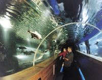 Enjoy a great day out in the Lake District