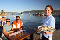 The world’s your oyster on the Western Cape