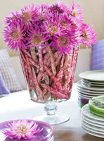 A master class in summer decoration