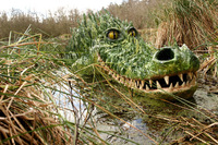 Weird and wonderful at Bewilderwood