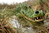 Weird and wonderful at Bewilderwood