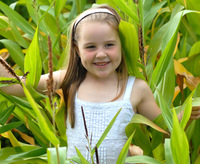 Spectacular summer holiday fun