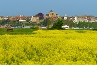 Cobbles and cookery at Taste of Rye