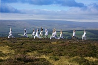 Durham unveils UK’s most relaxing holiday