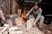 One Oak at the National Forest Wood Fair