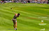 Tenerife tees up for ladies open