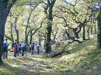 Dartmoor and Exmoor host Low Carbon Festival 