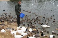 Spot the birds with Pensthorpe’s floodlit feeds
