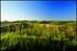 Flint Hills, Kansas