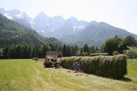 New online booking system for Slovenia tourists