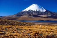 Chile to launch tourism campaign in UK