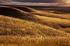 Flint Hills