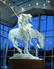 National Cowboy Museum 