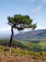 New 'Visit Exmoor' website offers online booking