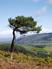 Exmoor