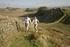 North East England 