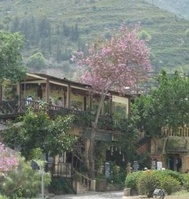 New in North Cyprus
