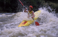 Anyone for an adrenalin rush?