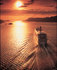 Rewards for cruise reviews