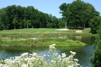 Convenient alternatives for travelling golfers