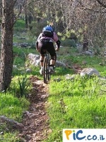 Israel on two wheels 