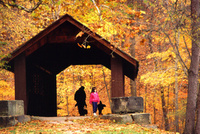 Fall for Pennsylvania