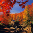 Fall events in West Virginia 